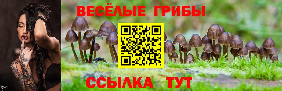 Галлюциногенные грибы MAGIC MUSHROOMS Киржач